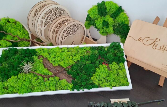 Eva Korpar Lee: LEKI dizajn