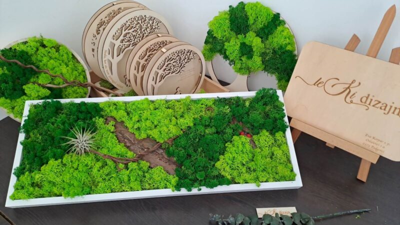 Eva Korpar Lee: LEKI dizajn