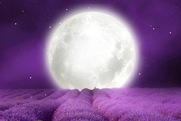 Foto: Pixabay.com