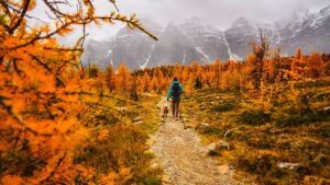 Foto: Pexels.com