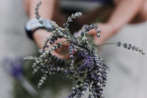 Foto: Pexels.com