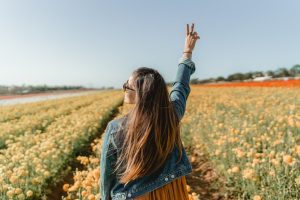 Foto: Pexels.com