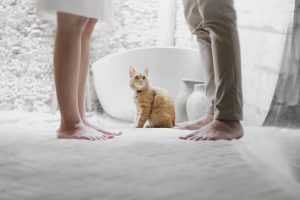 Foto: Pexels.com