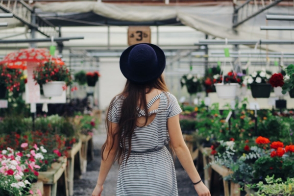 Foto: Pexels.com