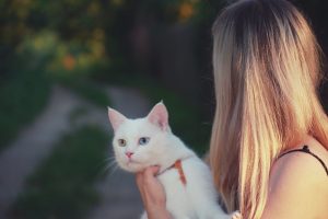 Foto: Pexels.com